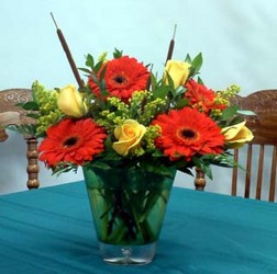 Thanksgiving Surprise from Kircher's Flowers in Defiance and Paulding, OH