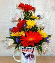 Grumpy Cat Mug from Kircher's Flowers in Defiance and Paulding, OH