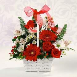 Red & White Delight from Kircher's Flowers in Defiance and Paulding, OH