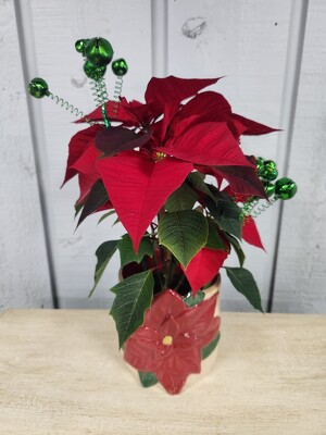 Elf-made Magic Elf-made Magic