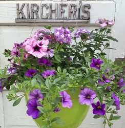 Trixie Hanging Basket from Kircher's Flowers in Defiance and Paulding, OH
