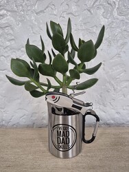 Plant Dad from Kircher's Flowers in Defiance and Paulding, OH Plant Dad from Kircher's Flowers in Defiance and Paulding, OH
