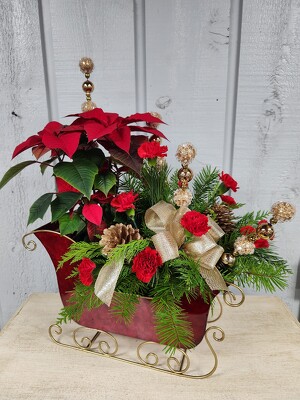 Yuletide Beauty Yuletide Beauty