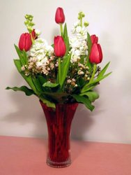 Irresistible from Kircher's Flowers in Defiance and Paulding, OH